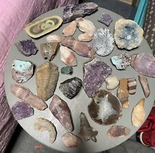 Large Lot, Fossils, Minerals And Crystals, Boulder Opals, Geodes, Amethyst, Etc picture