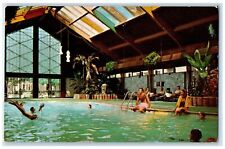 c1950's Tropical Pool Curtis Hotel & Motor Lodge Minneapolis Minnesota Postcard picture