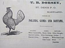 St. Denis Maryland Vintage Print Ad T.B. DORSEY Chickens for Sale Art 1881 picture