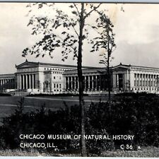 c1940s Chicago RPPC Museum Natural History Real Photo Old World Postcard A95 picture