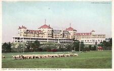 Vintage Postcard Mount Washington Hotel Lambs White Mountains New Hampshire NH picture