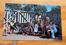 Lincoln, Nebraska - View of Animal Compound Children's Zoo - Vintage Postcard picture