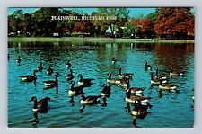 Plainwell MI-Michigan, Canadian Geese on Pond, Antique Vintage Postcard picture