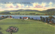 Richfield Springs,NY Canadarago Lake And Cotttages Tichnor Otsego County Vintage picture