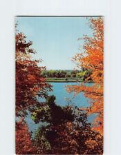 Postcard Autumn Nature Scene picture