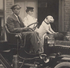 Uniformed Man Woman & Dog Driving 1909 Maxwell Model A Automobile RPPC Postcard picture