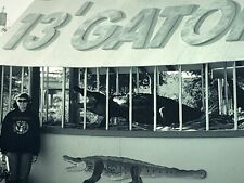 (Ac) FOUND PHOTO Photograph Snapshot Artistic Woman Posing With 13' Gator B&W picture