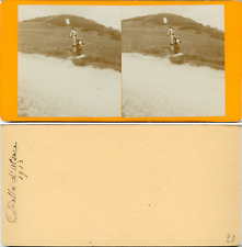 Vintage Alsace Stereo, Vosges, Balloon D's Albumen Stereo Card Albumi Print picture