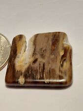 Super rare unique one of a kind Oregon petrified wood polished display piece  picture