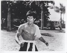 Bruce Lee Fists of Fury in classic martial arts pose vintage 8x10 inch photo picture