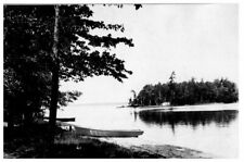 1920s Rppc Postcard Random Lake Water Shore Forrest Boats Landscape Posted  picture