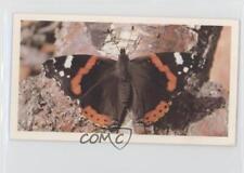 1983 Doncella British Butterflies Tobacco Red Admiral #8 1i3 picture