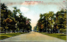 Postcard Tree Lined Euclid Avenue Cleveland OH Ohio Buggy 1909 picture