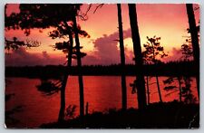 Postcard Michigan Higgins Lake Greetings Sunset on Threatening Sky 8J picture