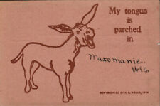 R.L. Wells Postcard 1906 Donkey My Tongue Is Parched In Brown Card Stock picture