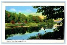 c1930's Scenes Near Cattaragus New York NY, River View Unposted Vintage Postcard picture