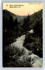 Black Hill SD-South Dakota, Squaw Creek Canyon, Souvenir Vintage Postcard picture
