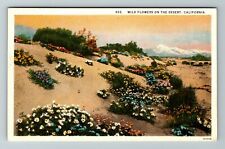 CA-California, Wild Flowers On The Desert, Scenic View Flowers Vintage Postcard picture