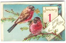 Robins Happy New Year Vintage Embossed Postcard, Undivided Back picture