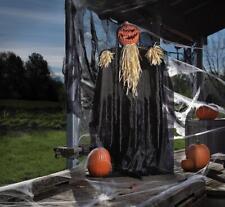 Halloween Standing Shaking Pumpkin Reaper Plastic, Polyester, Straw  5 '  6
