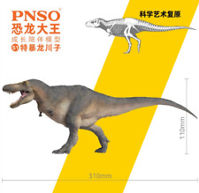 PNSO Tarbosaurus ChuanZi Dinosaur Figurine Tyrannosauridae Museum Art Model Toy picture