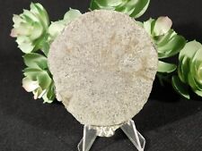 Pyrite SUN or Pyrite Crystal DISC 100% Natural Illinois 98.5gr picture