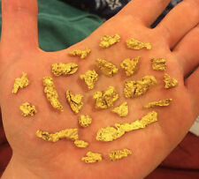 12 oz GOLD PAYDIRT unsearched and added gold panning alaska concentrates picture