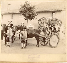 1895 Carnival, Avignon Cavalcade Vintage Albumen Print, Cavalcade du Diman picture