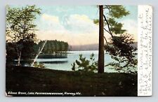 Gibson Grove Lake Pennesseewassee Norway ME Maine Antique Postcard PM Cancel WOB picture