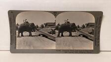 a484, Keystone SV; Elephants Piling Teak Logs at Lumber Yard; 898-V27402, 1930 picture