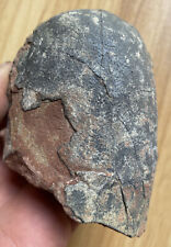 Jurassic Age of Dinosaur Egg Fossils picture