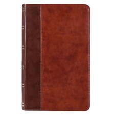 KJV Holy Bible, Giant Print Standard Size Faux Leather Red Letter Edition, New. picture