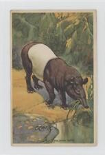 1950s Bell Bread Animals Recipe Cards Malayan Tapir a8x picture