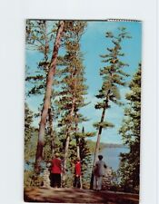 Postcard Scenic Lake Itasca from Douglas Lodge Itasca State Park Minnesota USA picture