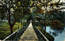 Prexy's Walk University Campus Boulder Colorado  Old Postcard 1910 picture