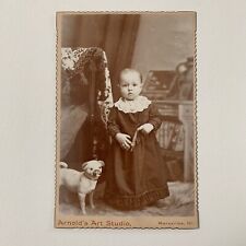 Antique Cabinet Card Photo Adorable Child Baby Pug Statue Dress Marseilles IL picture