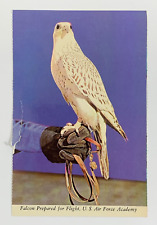 Falcon Prepared for Flight US Air Force Academy Colorado Postcard Unposted picture