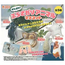 hanging animal mascot Capsule Toy 5 Types Full Comp Set Gacha New Japan picture