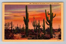 Sentinels of the Desert, Giant Cactus Sahuaro, Plants, Vintage Souvenir Postcard picture