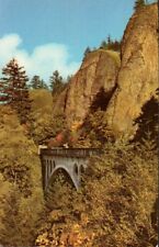 Postcard - Shepherd's Dell Bridge, Columbia River Highway Oregon 2459 picture