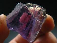 Rare Ametrine (Amethyst + Citrine) Crystal From Bolivia - 1.1