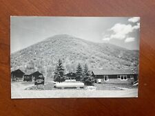 VTG 1940s 1950s Sizemore‘S Twin Springs Resort RPPC Photo Postcard ~ Log Cabins picture
