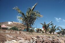 1959 Caribbean Homes Palm Trees Vintage 35mm Kodachrome Slide picture