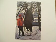 Danbury Wisconsin Postcard Worlds Largest Black Bear Hunting WI picture