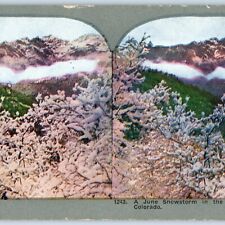 c1900s San Juan Mountains, Colorado June Snowstorm Photo Stereo Card V8 picture