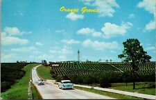 Postcard FL  Orange Groves Vintage View Old Cars  picture