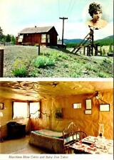 Leadville, CO Colorado  MATCHLESS MINE Cabin & Baby Doe Tabor Image 4X6 Postcard picture