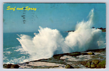 Vintage Postcard San Jose California Surf picture