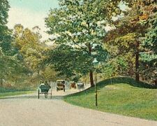 1907 Lower Boulevard Looking North Cleveland Ohio Vintage Postcard Horse Buggy picture