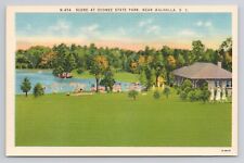 Scene at Oconee State Park Walhalla SC Linen Postcard No 4472 picture